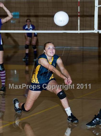 Thumbnail 2 in Johansen @ Gregori photogallery.