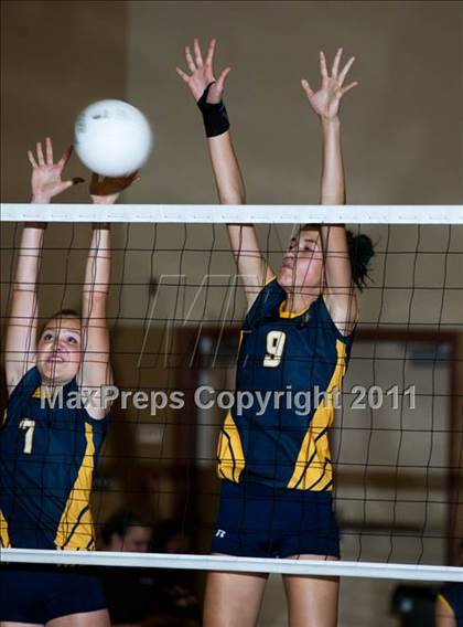 Thumbnail 2 in Johansen @ Gregori photogallery.