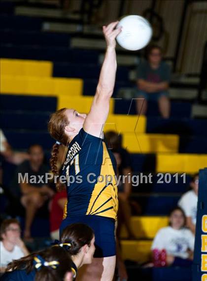 Thumbnail 1 in Johansen @ Gregori photogallery.