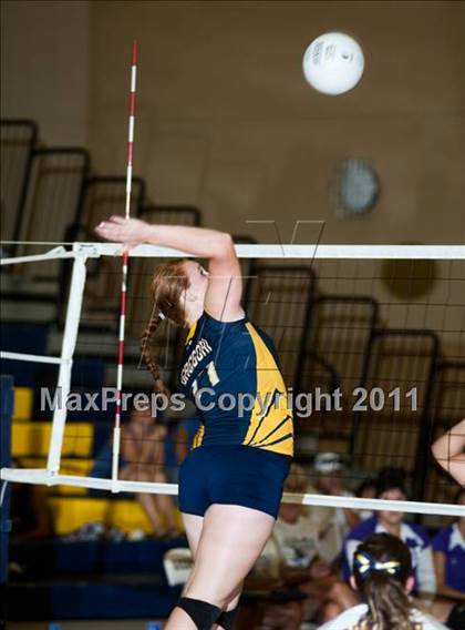 Thumbnail 1 in Johansen @ Gregori photogallery.