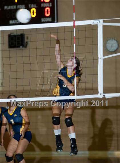 Thumbnail 1 in Johansen @ Gregori photogallery.