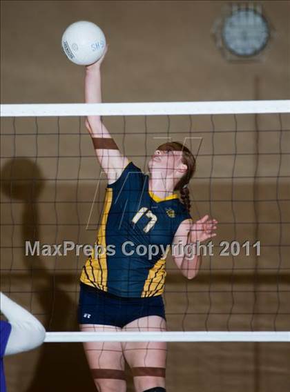 Thumbnail 1 in Johansen @ Gregori photogallery.