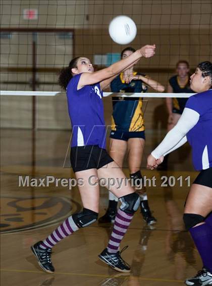 Thumbnail 3 in Johansen @ Gregori photogallery.
