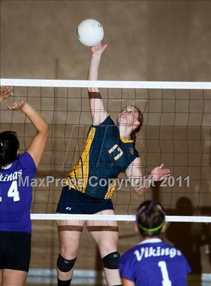 Thumbnail 1 in Johansen @ Gregori photogallery.
