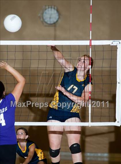 Thumbnail 1 in Johansen @ Gregori photogallery.