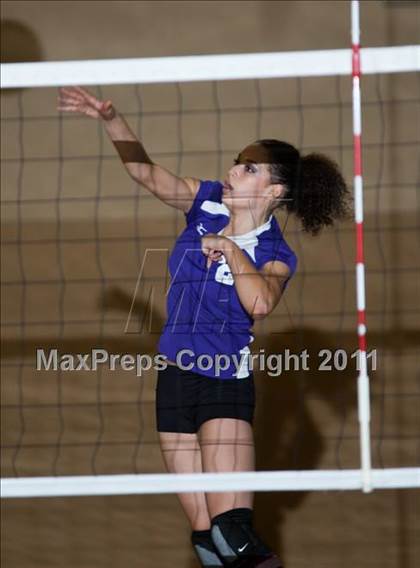 Thumbnail 3 in Johansen @ Gregori photogallery.