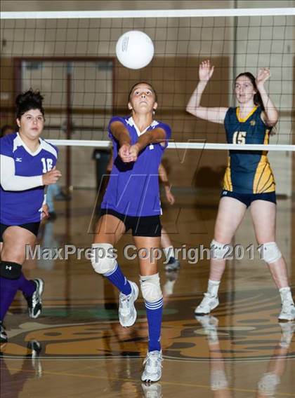 Thumbnail 2 in Johansen @ Gregori photogallery.