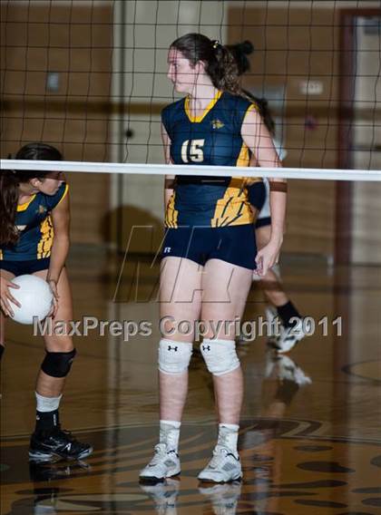 Thumbnail 1 in Johansen @ Gregori photogallery.