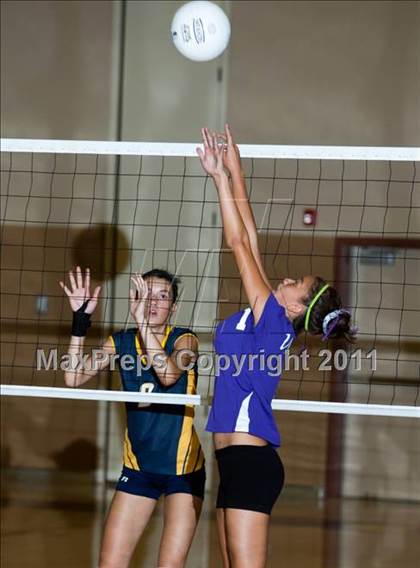 Thumbnail 1 in Johansen @ Gregori photogallery.
