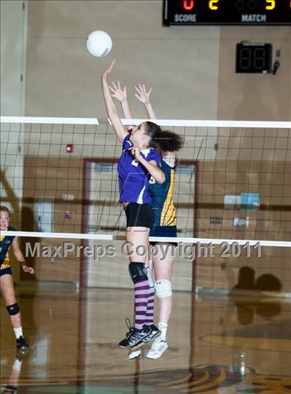 Thumbnail 1 in Johansen @ Gregori photogallery.
