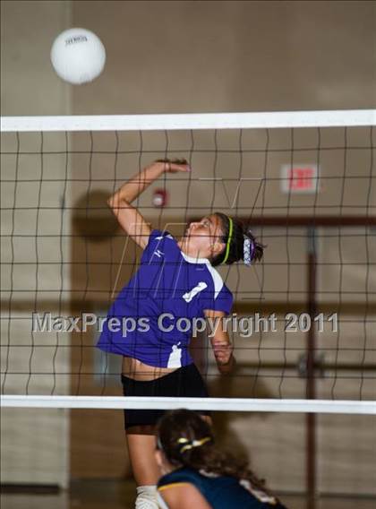 Thumbnail 1 in Johansen @ Gregori photogallery.