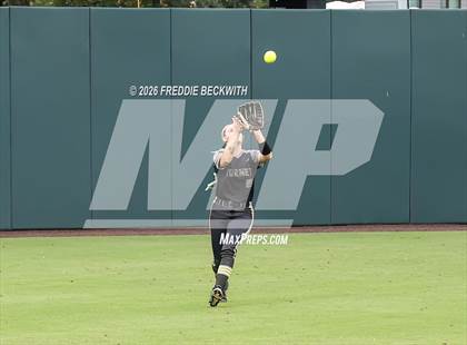 Thumbnail 1 in Katy vs. Forney (UIL 6A D2 Softball Final) photogallery.