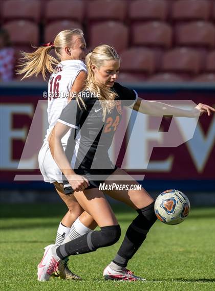 Thumbnail 1 in Morgan vs. Ogden (UHSAA 3A Final) photogallery.