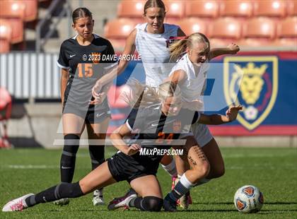 Thumbnail 3 in Morgan vs. Ogden (UHSAA 3A Final) photogallery.