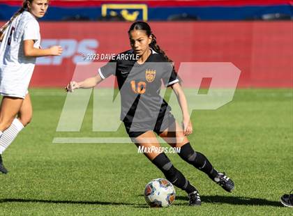 Thumbnail 3 in Morgan vs. Ogden (UHSAA 3A Final) photogallery.