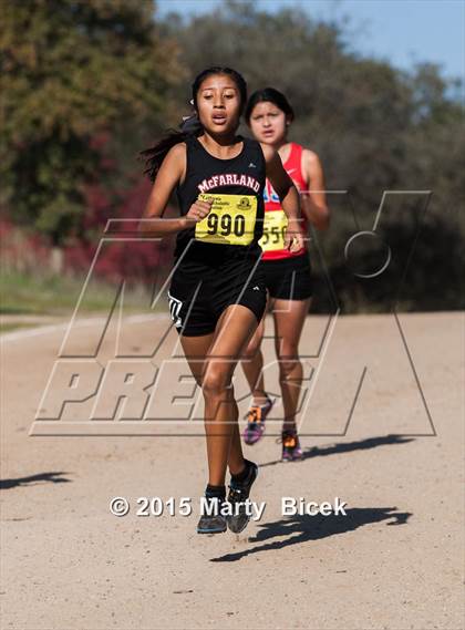 Thumbnail 2 in CIF State Cross Country Championships (D2 Girls Race) photogallery.