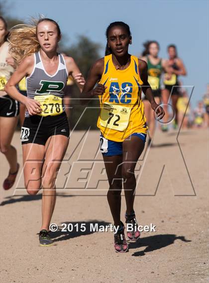 Thumbnail 1 in CIF State Cross Country Championships (D2 Girls Race) photogallery.