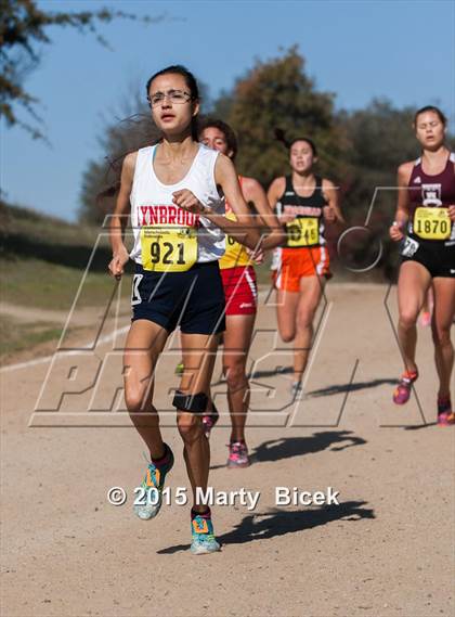Thumbnail 1 in CIF State Cross Country Championships (D2 Girls Race) photogallery.