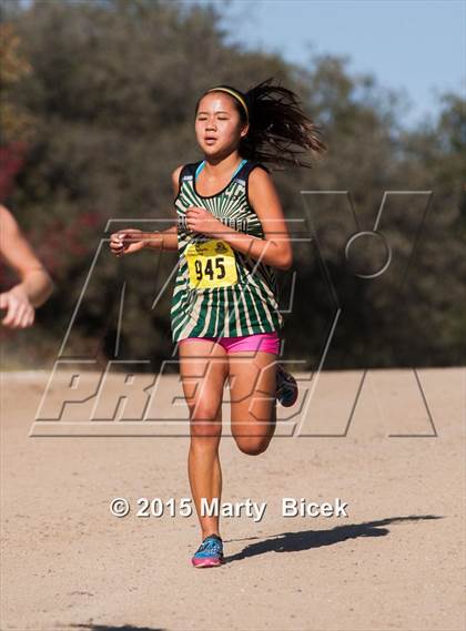 Thumbnail 2 in CIF State Cross Country Championships (D2 Girls Race) photogallery.