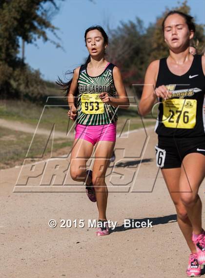 Thumbnail 2 in CIF State Cross Country Championships (D2 Girls Race) photogallery.