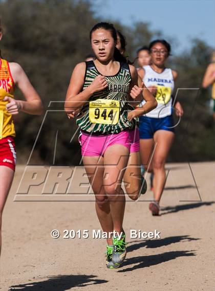 Thumbnail 1 in CIF State Cross Country Championships (D2 Girls Race) photogallery.