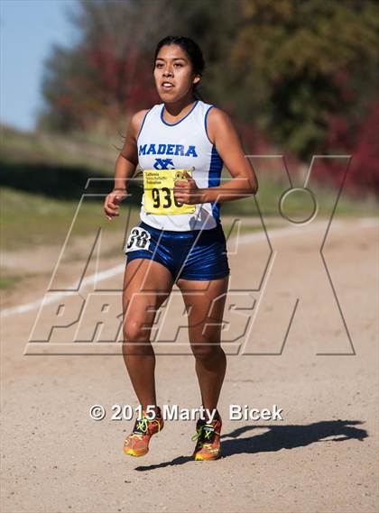 Thumbnail 1 in CIF State Cross Country Championships (D2 Girls Race) photogallery.