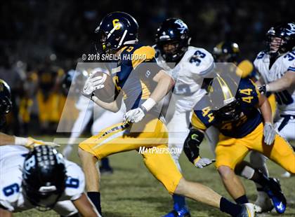 Thumbnail 2 in Berkeley Prep @ Steinbrenner photogallery.