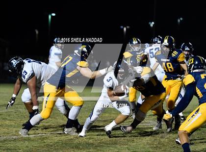 Thumbnail 2 in Berkeley Prep @ Steinbrenner photogallery.