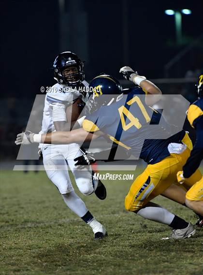 Thumbnail 2 in Berkeley Prep @ Steinbrenner photogallery.