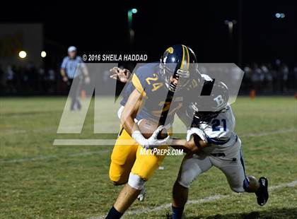 Thumbnail 3 in Berkeley Prep @ Steinbrenner photogallery.