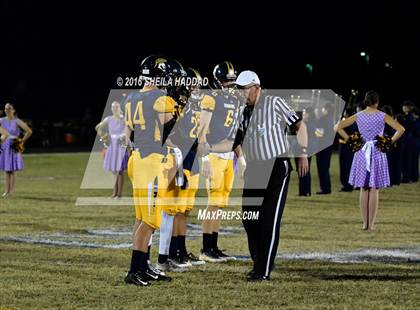 Thumbnail 1 in Berkeley Prep @ Steinbrenner photogallery.