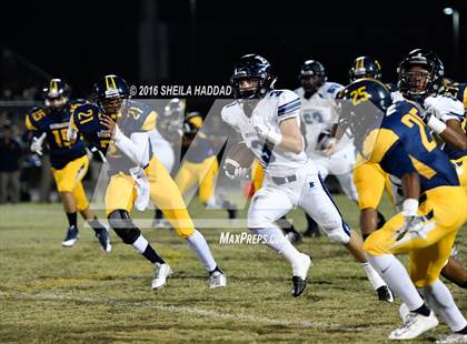 Thumbnail 3 in Berkeley Prep @ Steinbrenner photogallery.