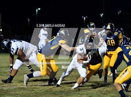 Thumbnail 3 in Berkeley Prep @ Steinbrenner photogallery.