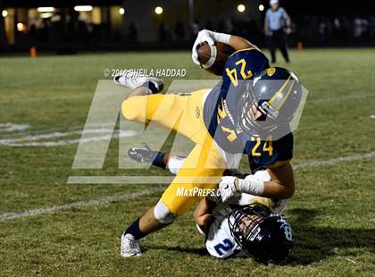 Thumbnail 2 in Berkeley Prep @ Steinbrenner photogallery.
