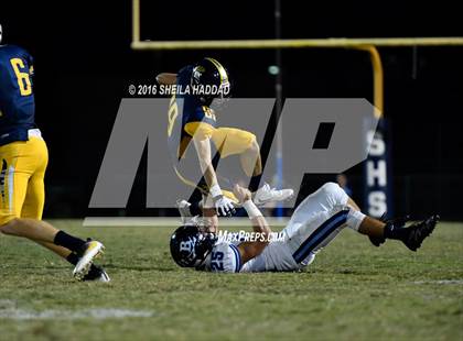 Thumbnail 1 in Berkeley Prep @ Steinbrenner photogallery.