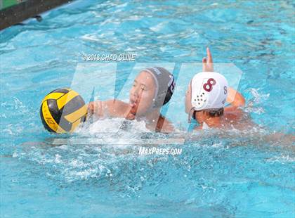 Thumbnail 2 in Esperanza @ Villa Park photogallery.