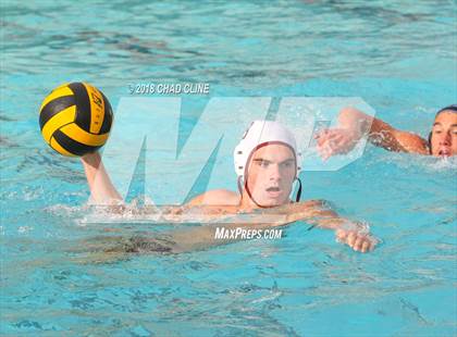 Thumbnail 3 in Esperanza @ Villa Park photogallery.