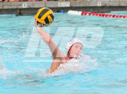 Thumbnail 3 in Esperanza @ Villa Park photogallery.