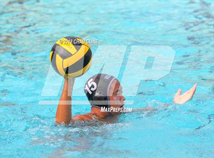Thumbnail 3 in Esperanza @ Villa Park photogallery.