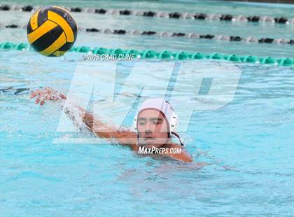 Thumbnail 3 in Esperanza @ Villa Park photogallery.
