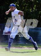 Photo from the gallery "Georgetown @ Amesbury"