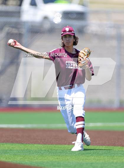 Thumbnail 3 in Pottsboro photogallery.
