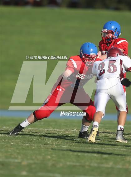 Thumbnail 1 in JV: Paso Robles @ Buchanan photogallery.