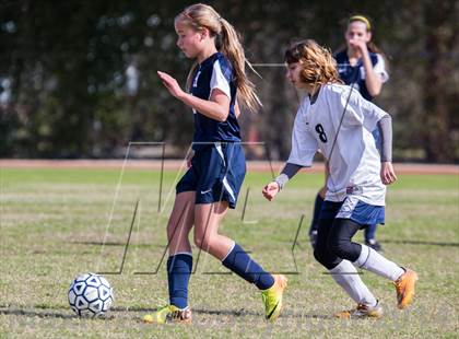 Thumbnail 1 in Archbishop Hannan @ Lusher photogallery.