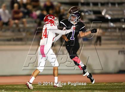 Thumbnail 1 in Burroughs @ Hoover photogallery.