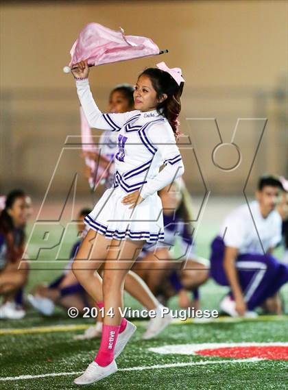 Thumbnail 3 in Burroughs @ Hoover photogallery.