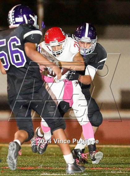 Thumbnail 1 in Burroughs @ Hoover photogallery.