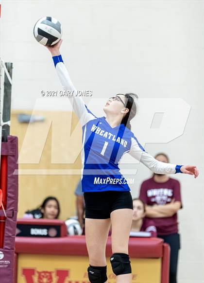 Thumbnail 2 in Wheatland @ Whitney photogallery.