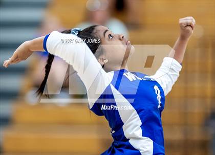 Thumbnail 2 in Wheatland @ Whitney photogallery.