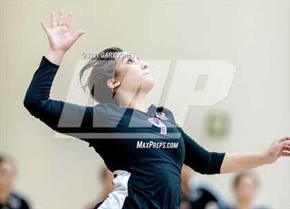Thumbnail 2 in Wheatland @ Whitney photogallery.